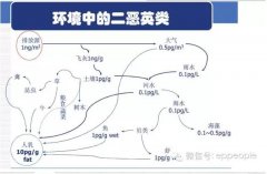 各行业二恶英污染产生与治理及对比表