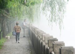 环保局公布上半年生物监测数据 湿度大空气霉菌超标